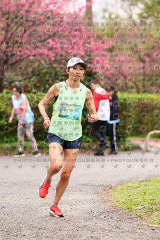 2026左岸竹東櫻花馬拉松Zhudong Sakura Marathon