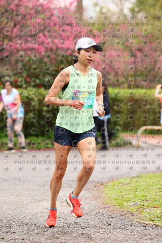2026左岸竹東櫻花馬拉松Zhudong Sakura Marathon