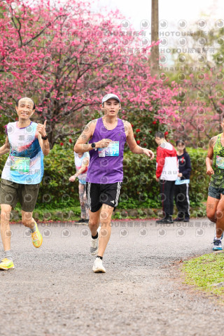 2026左岸竹東櫻花馬拉松Zhudong Sakura Marathon