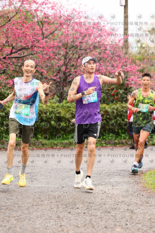 2026左岸竹東櫻花馬拉松Zhudong Sakura Marathon