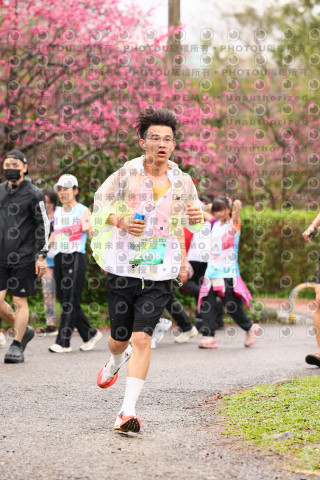 2026左岸竹東櫻花馬拉松Zhudong Sakura Marathon