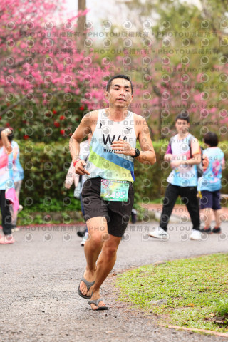 2026左岸竹東櫻花馬拉松Zhudong Sakura Marathon