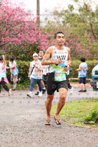 2026左岸竹東櫻花馬拉松Zhudong Sakura Marathon