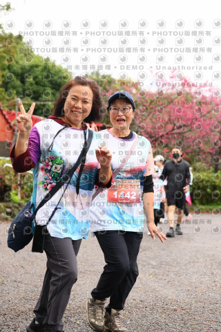 2026左岸竹東櫻花馬拉松Zhudong Sakura Marathon