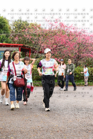 2026左岸竹東櫻花馬拉松Zhudong Sakura Marathon