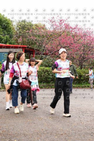 2026左岸竹東櫻花馬拉松Zhudong Sakura Marathon