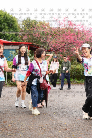 2026左岸竹東櫻花馬拉松Zhudong Sakura Marathon