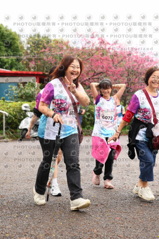 2026左岸竹東櫻花馬拉松Zhudong Sakura Marathon