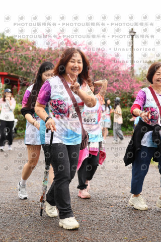 2026左岸竹東櫻花馬拉松Zhudong Sakura Marathon