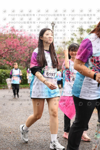 2026左岸竹東櫻花馬拉松Zhudong Sakura Marathon