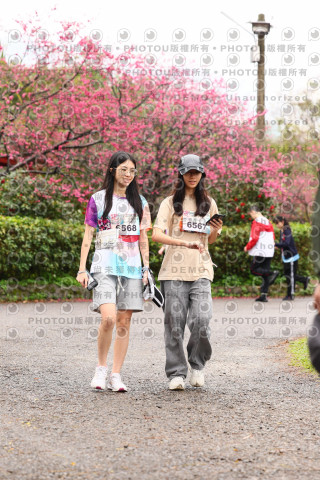 2026左岸竹東櫻花馬拉松Zhudong Sakura Marathon
