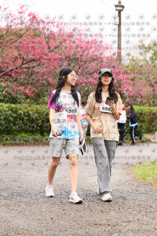 2026左岸竹東櫻花馬拉松Zhudong Sakura Marathon