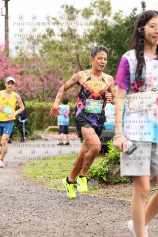 2026左岸竹東櫻花馬拉松Zhudong Sakura Marathon