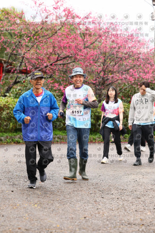 2026左岸竹東櫻花馬拉松Zhudong Sakura Marathon