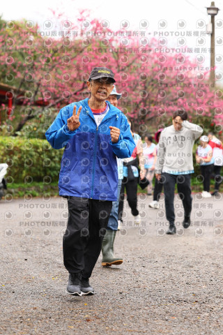 2026左岸竹東櫻花馬拉松Zhudong Sakura Marathon