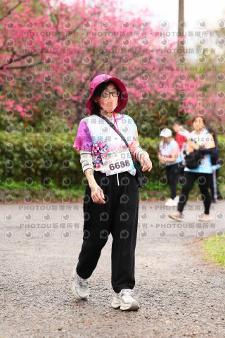 2026左岸竹東櫻花馬拉松Zhudong Sakura Marathon