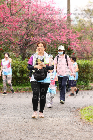 2026左岸竹東櫻花馬拉松Zhudong Sakura Marathon