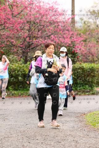 2026左岸竹東櫻花馬拉松Zhudong Sakura Marathon