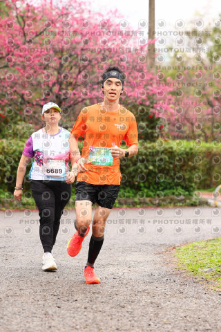 2026左岸竹東櫻花馬拉松Zhudong Sakura Marathon