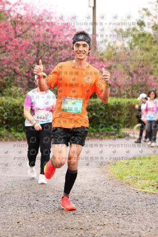 2026左岸竹東櫻花馬拉松Zhudong Sakura Marathon