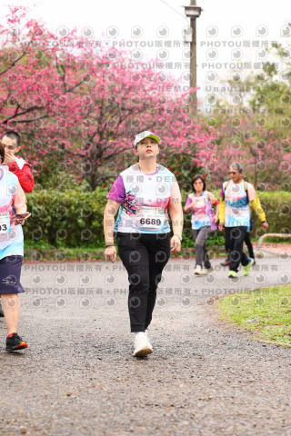 2026左岸竹東櫻花馬拉松Zhudong Sakura Marathon