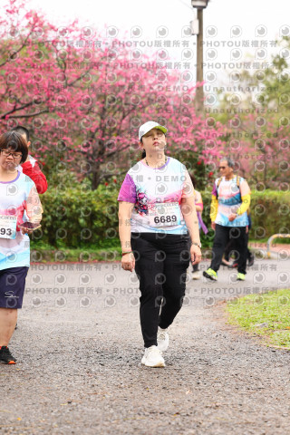 2026左岸竹東櫻花馬拉松Zhudong Sakura Marathon