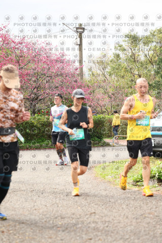 2026左岸竹東櫻花馬拉松Zhudong Sakura Marathon