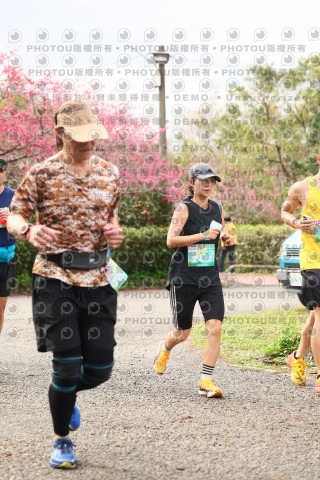 2026左岸竹東櫻花馬拉松Zhudong Sakura Marathon