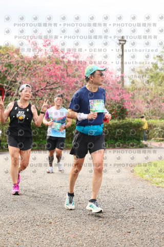 2026左岸竹東櫻花馬拉松Zhudong Sakura Marathon