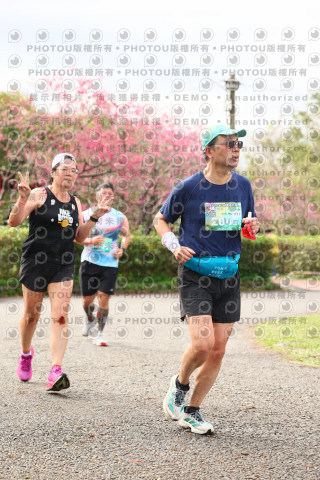 2026左岸竹東櫻花馬拉松Zhudong Sakura Marathon