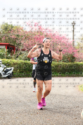 2026左岸竹東櫻花馬拉松Zhudong Sakura Marathon