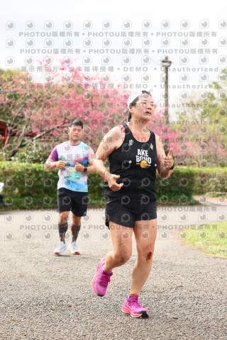 2026左岸竹東櫻花馬拉松Zhudong Sakura Marathon