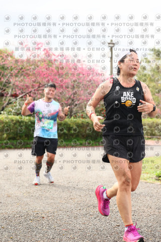 2026左岸竹東櫻花馬拉松Zhudong Sakura Marathon
