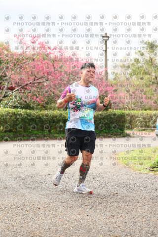 2026左岸竹東櫻花馬拉松Zhudong Sakura Marathon