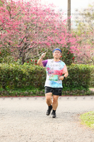 2026左岸竹東櫻花馬拉松Zhudong Sakura Marathon