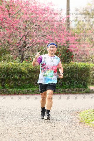 2026左岸竹東櫻花馬拉松Zhudong Sakura Marathon