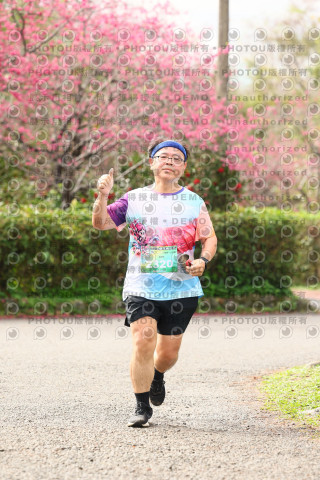 2026左岸竹東櫻花馬拉松Zhudong Sakura Marathon