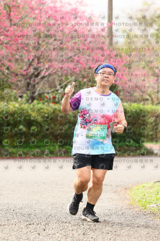 2026左岸竹東櫻花馬拉松Zhudong Sakura Marathon