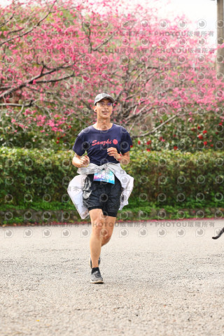 2026左岸竹東櫻花馬拉松Zhudong Sakura Marathon