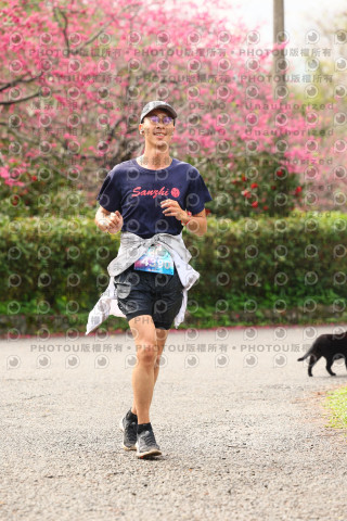 2026左岸竹東櫻花馬拉松Zhudong Sakura Marathon