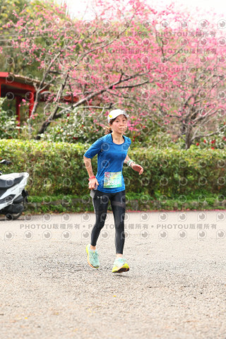 2026左岸竹東櫻花馬拉松Zhudong Sakura Marathon