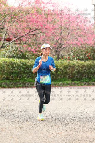 2026左岸竹東櫻花馬拉松Zhudong Sakura Marathon
