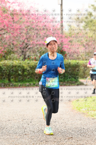 2026左岸竹東櫻花馬拉松Zhudong Sakura Marathon