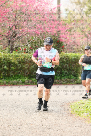 2026左岸竹東櫻花馬拉松Zhudong Sakura Marathon