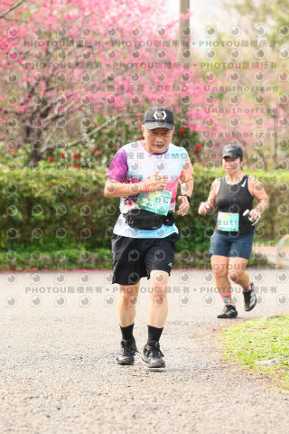 2026左岸竹東櫻花馬拉松Zhudong Sakura Marathon