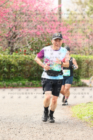2026左岸竹東櫻花馬拉松Zhudong Sakura Marathon