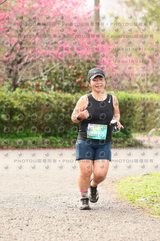 2026左岸竹東櫻花馬拉松Zhudong Sakura Marathon