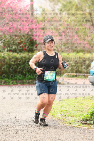 2026左岸竹東櫻花馬拉松Zhudong Sakura Marathon
