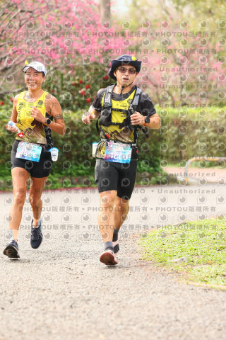 2026左岸竹東櫻花馬拉松Zhudong Sakura Marathon