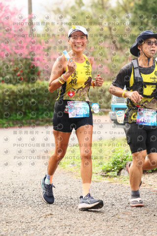 2026左岸竹東櫻花馬拉松Zhudong Sakura Marathon